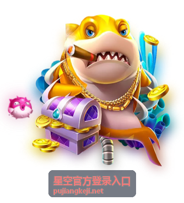 星空官方登录入口手机号验证服务